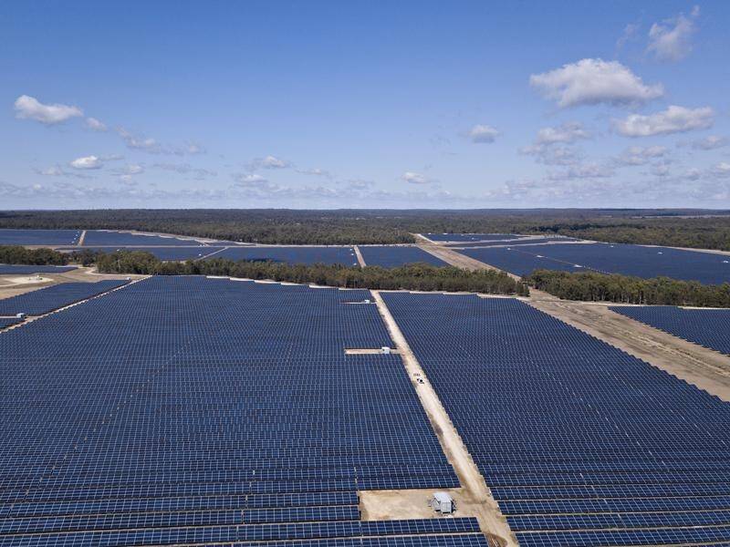 Renewables make up 19 per cent of Queensland's overall energy generation capacity.