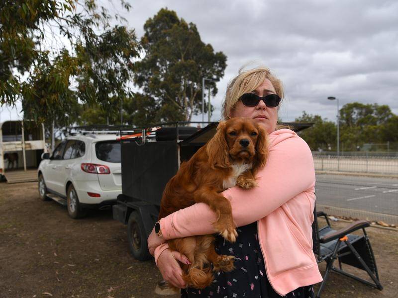 Shannon Hutchings and her family fled the East Gippsland fire and fear they've lost everything.