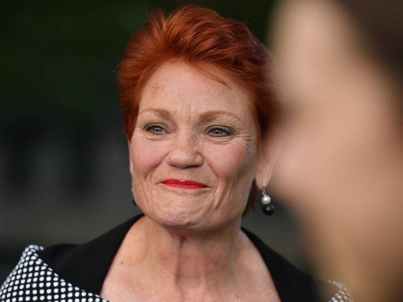 Pauline Hanson says a controversy over a Australia Post delivery is 