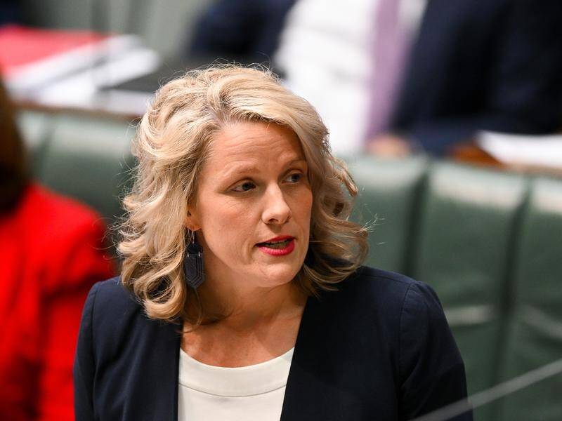 It is crucial to ensure the security of Australia's essential services, says Minister Clare O'Neil. (Lukas Coch/AAP PHOTOS)