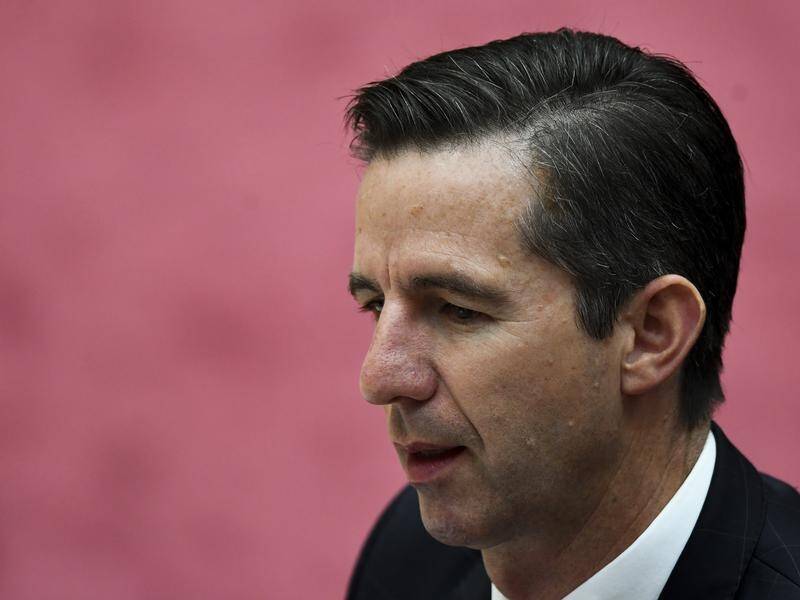 Simon Birmingham says it's not certain that a fall in Australia's jobless rate will be sustained.