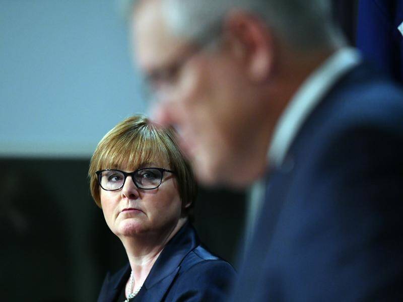 Defence Minister Linda Reynolds said the cyber security threat to Australia continues to increase.