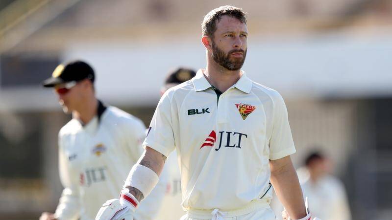 Matthew Wade could force his way into the Test side as a batsman.