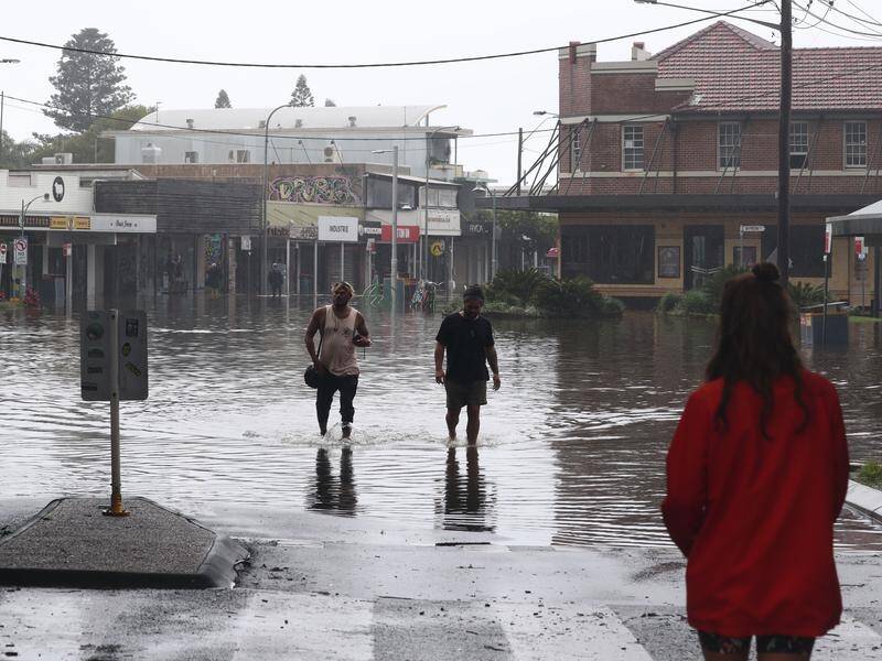 A NSW parliamentary committee has been told of many failures in the official response to the floods.