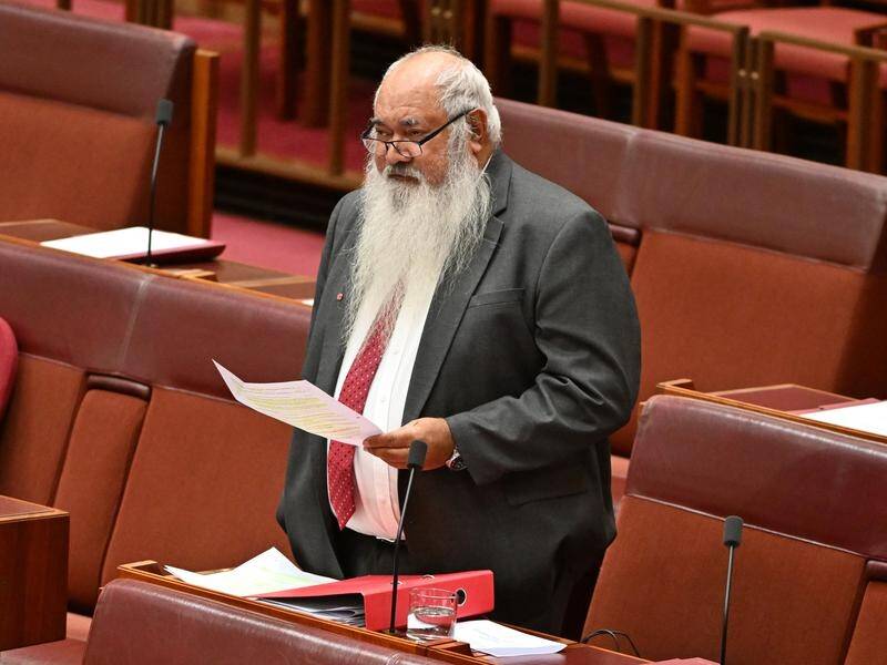 Labor senator Pat Dodson said both supporters and naysayers are free to fund their own campaigns. (Mick Tsikas/AAP PHOTOS)