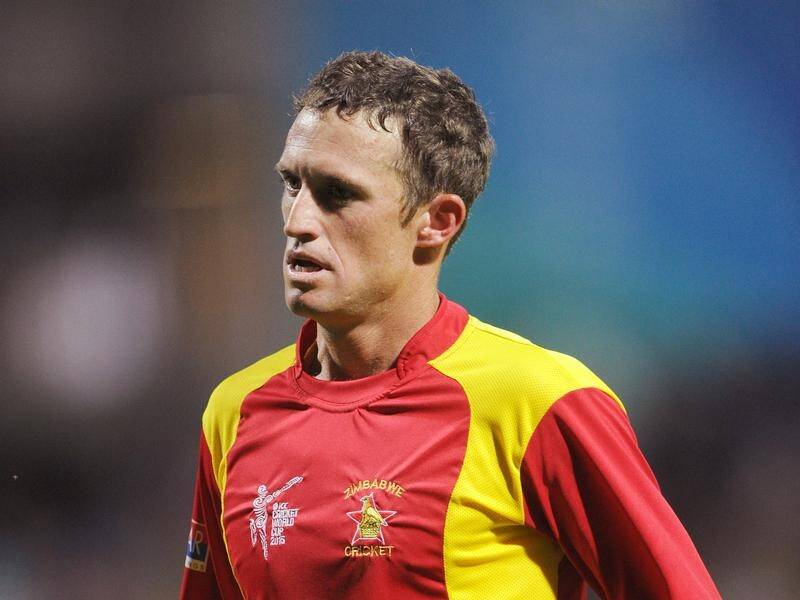Zimbabwe's Sean Williams held their innings together in the T20I victory over Scotland.