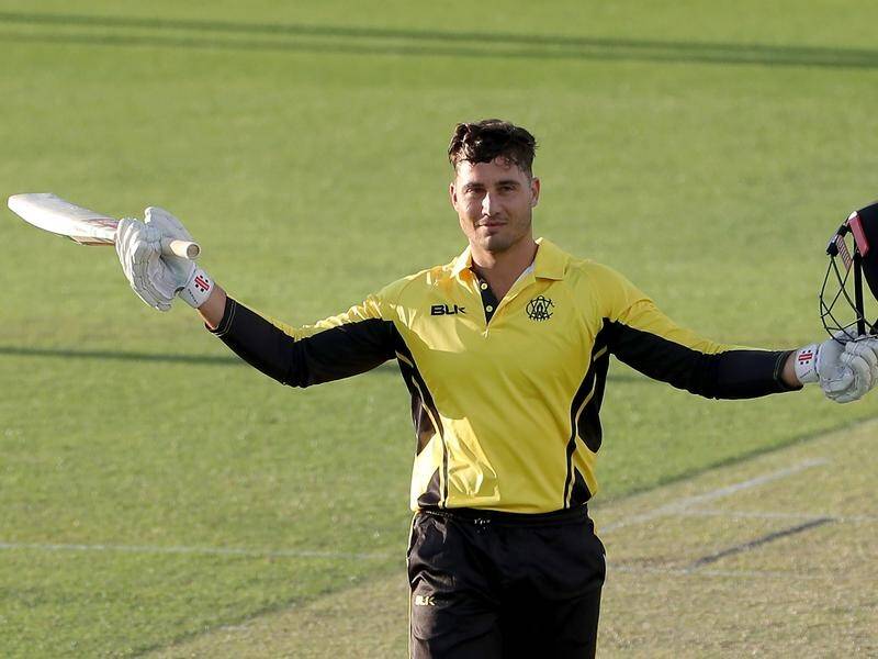 A Marcus Stoinis century has lifted WA to a 125-run win in their opening one-dayer with Victoria.