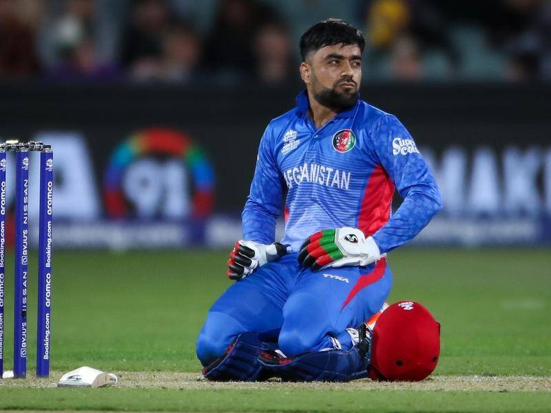 Afghanistan cricket fans share Rashid Khan's disappointment over the cancelled Australia series. (Matt Turner/AAP PHOTOS)