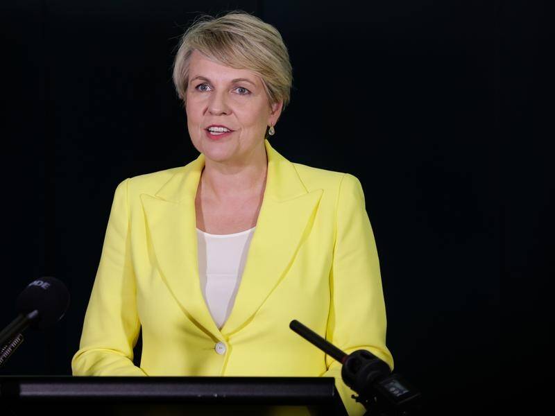 Tanya Plibersek says a new Environment Protection Agency will make development decisions. (Russell Freeman/AAP PHOTOS)