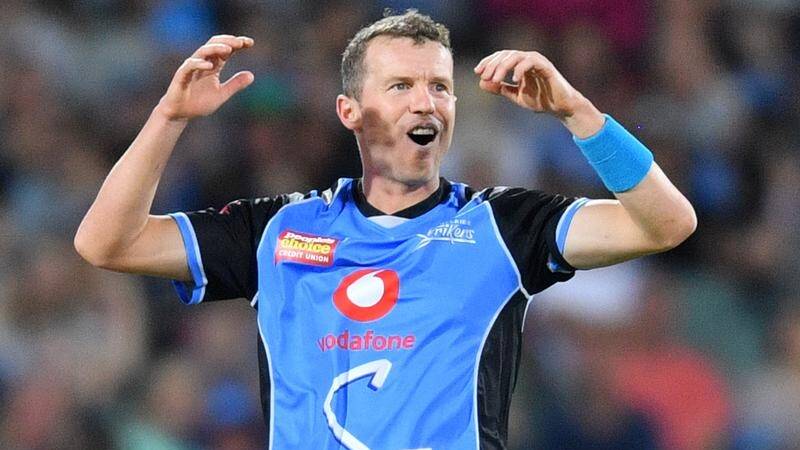 Is Peter Siddle the man for the job?