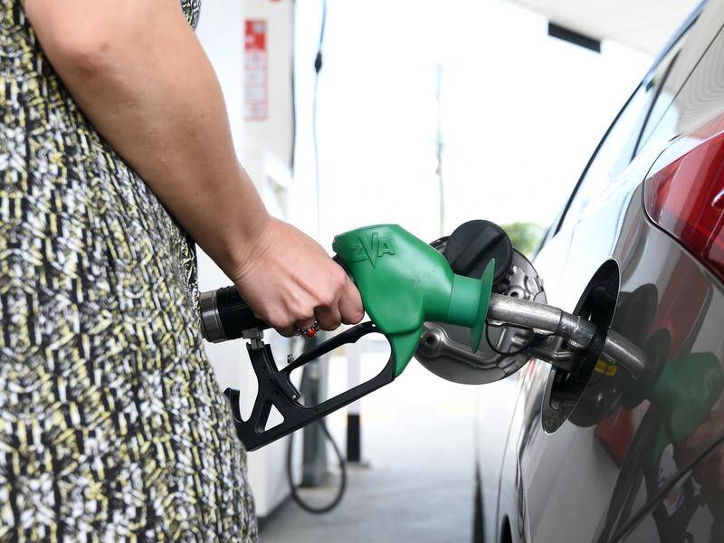 Australia should phase out the sale of new petrol and diesel cars by 2035: Grattan Institute.