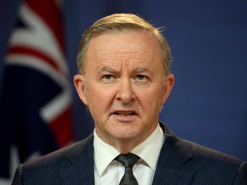 Anthony Albanese will unveil his "buy Australian plan" at Saturday's NSW Labor conference.