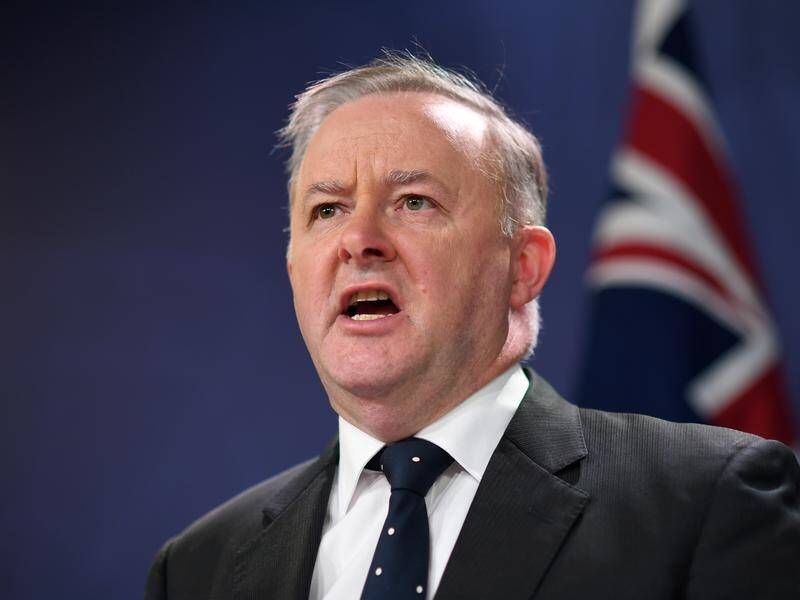 Opposition Leader Anthony Albanese has announced his new shadow cabinet line-up.