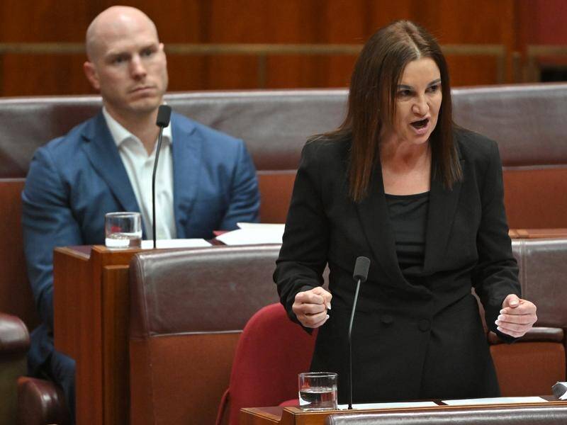 Tasmanian senator Jacqui Lambie wants an investigation into alleged war crimes in Afghanistan. (Mick Tsikas/AAP PHOTOS)