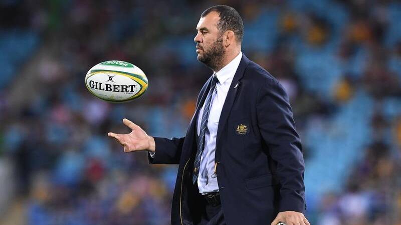 Michael Cheika and the Wallabies are searching for ways to return to the summit.