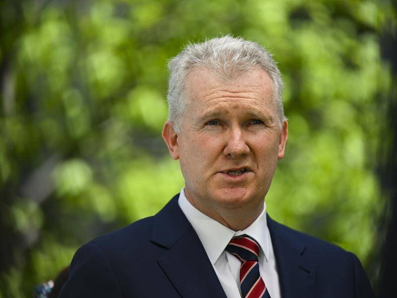 Arts Minister Tony Burke has revealed details of the government's cultural policy. (Lukas Coch/AAP PHOTOS)