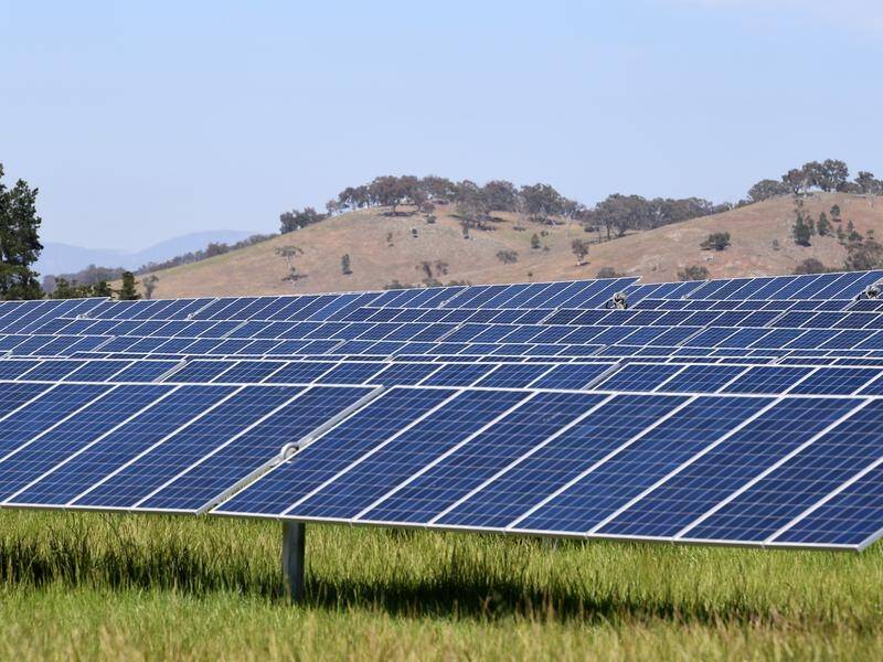 A report says Australia must act now amid strong competition to become a renewable energy leader. (Lukas Coch/AAP PHOTOS)