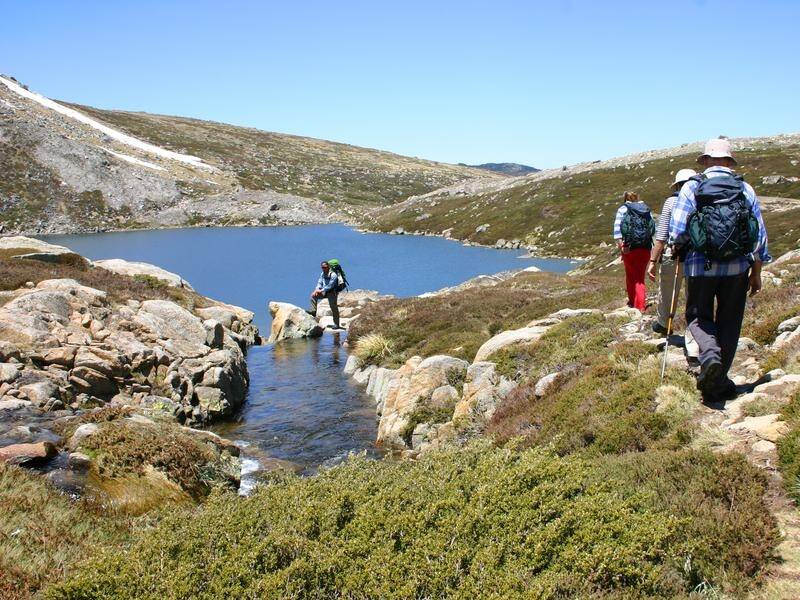 Long-term plans would see Kosciuszko National Park become a major year-round tourist destination.