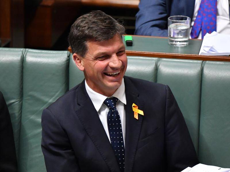 Energy Minister Angus Taylor wants to see "like-for-like replacement" of coal and gas power plants.