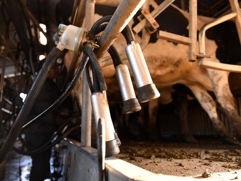 Dairy farmers can apply for new federal government grants to upgrade their equipment.