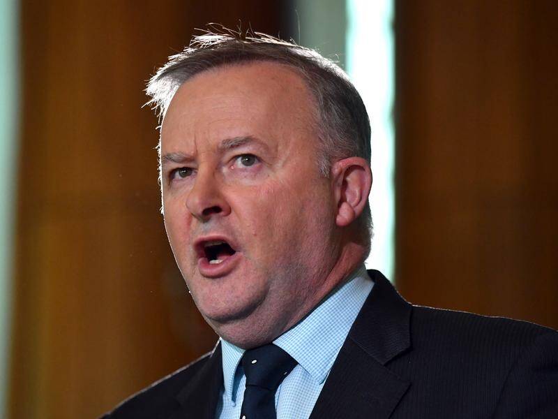 Opposition leader Anthony Albanese doesn't back new coal-fired power plants in Australia.