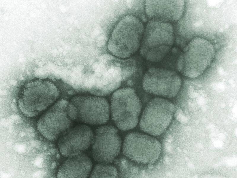 The CDC says vials marked "Smallpox" discovered in a lab freezer do not contain the variola virus.
