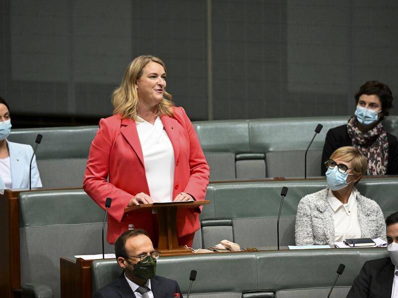 North Sydney MP Kylea Tink challenged parliament to do better in the area of human rights. (Lukas Coch/AAP PHOTOS)