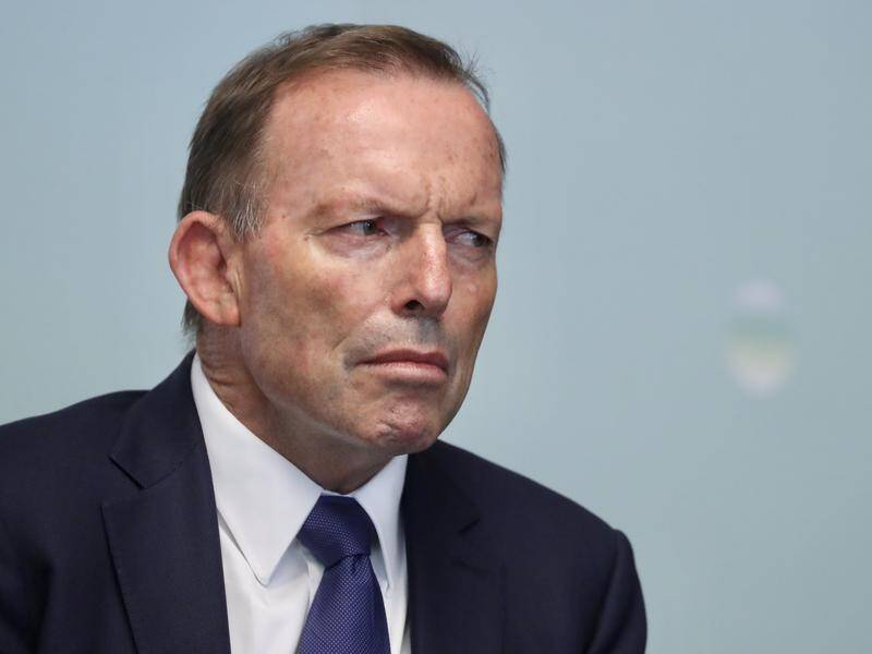 China's embassy calls former PM Tony Abbott "insane" and "pitiful" after his comments about Taiwan.