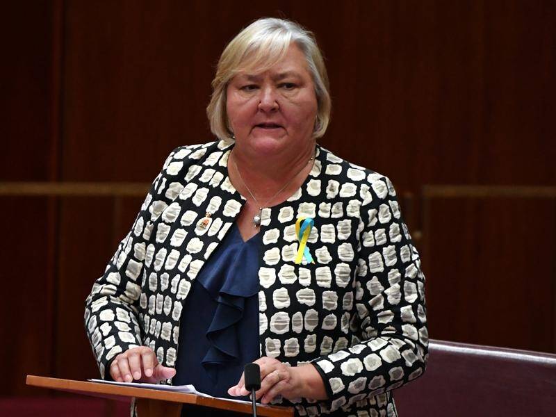 Outgoing senator Sam McMahon used her valedictory speech to shine a light on bullying in politics.