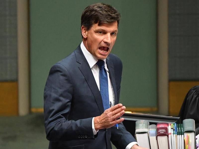 Labor is keeping pressure on federal Energy Minister Angus Taylor over links to land clearing.