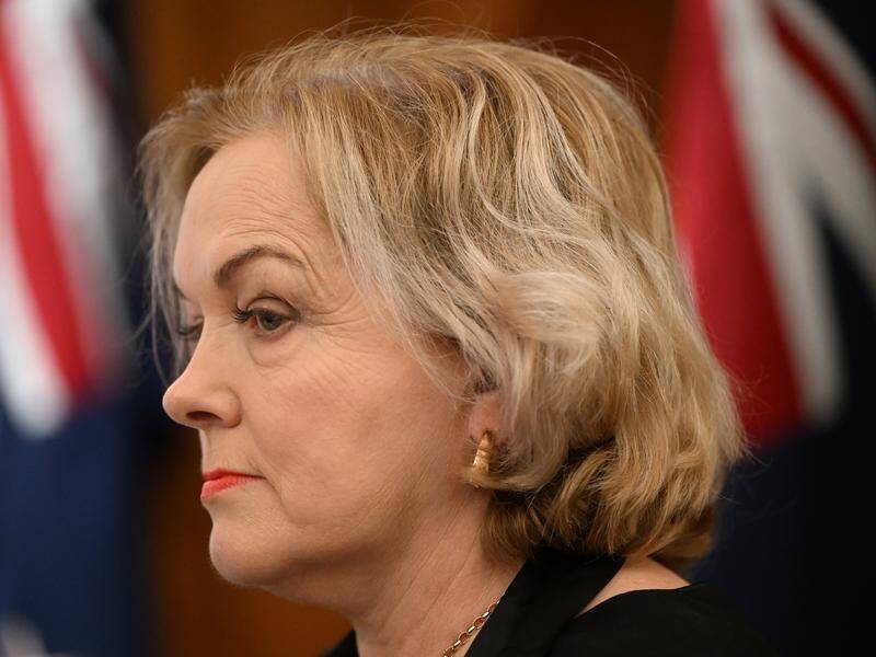 Defence Minister Judith Collins says it is critical that NZ works to build back its defence force. (Joel Carrett/AAP PHOTOS)