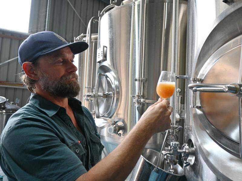 Mitta Mitta Brewing co-owner Tim Cabelka teamed up with Alec Pennington to start the brewery. (Adrian Black/AAP PHOTOS)