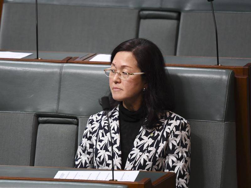 New allegations about a Chinese 'plant' have again put Liberal MP Gladys Liu in the spotlight.