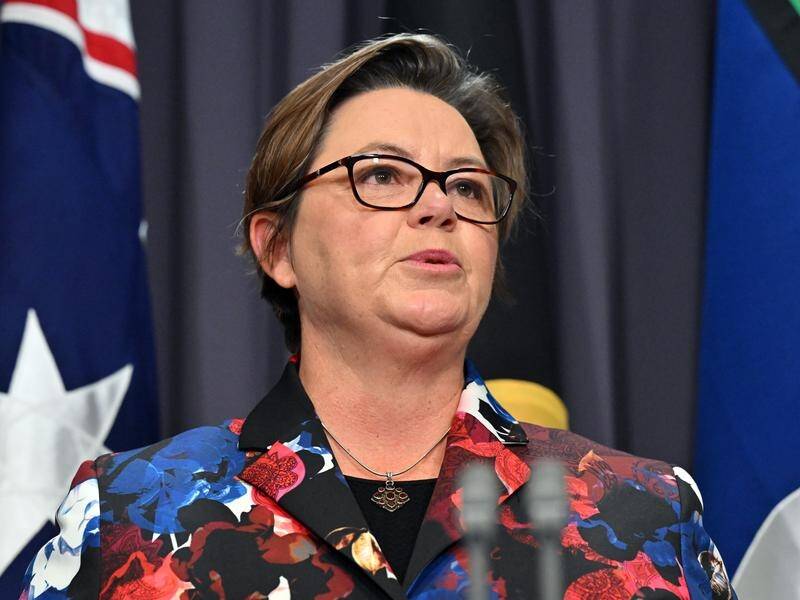 The government is well aware of the seriousness of intervening in the market, says Madeleine King. (Mick Tsikas/AAP PHOTOS)
