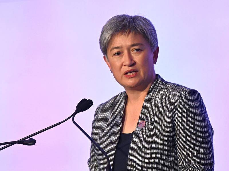 Penny Wong led Friday's debate about recognising Palestine as a state at Labor's conference. (Darren England/AAP PHOTOS)