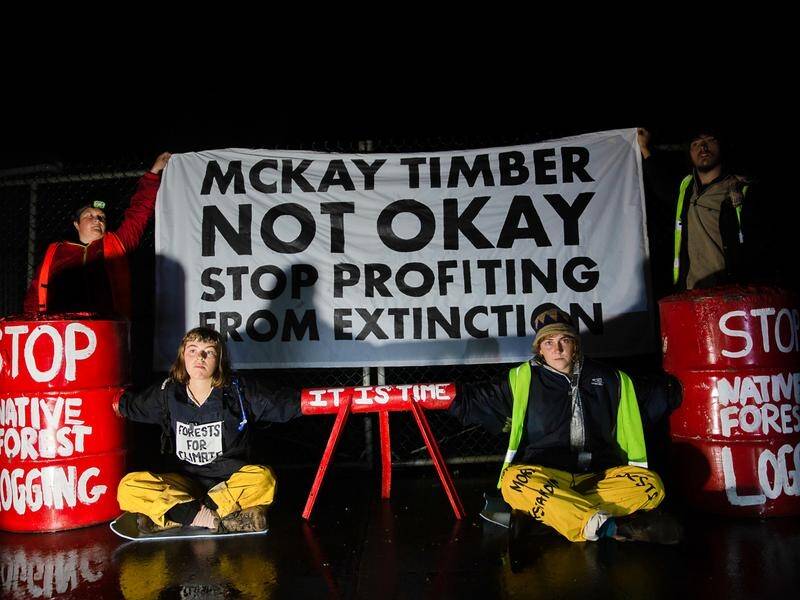 Protesters say a Tasmanian sawmill is accepting logs from contentious old-growth native forests.