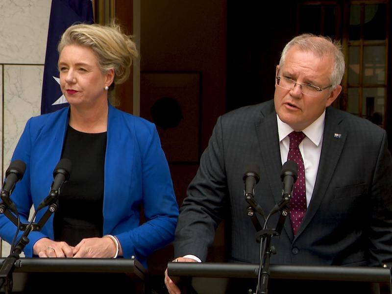 Bridget McKenzie and Scott Morrison do not see eye-to-eye on emissions reduction targets.