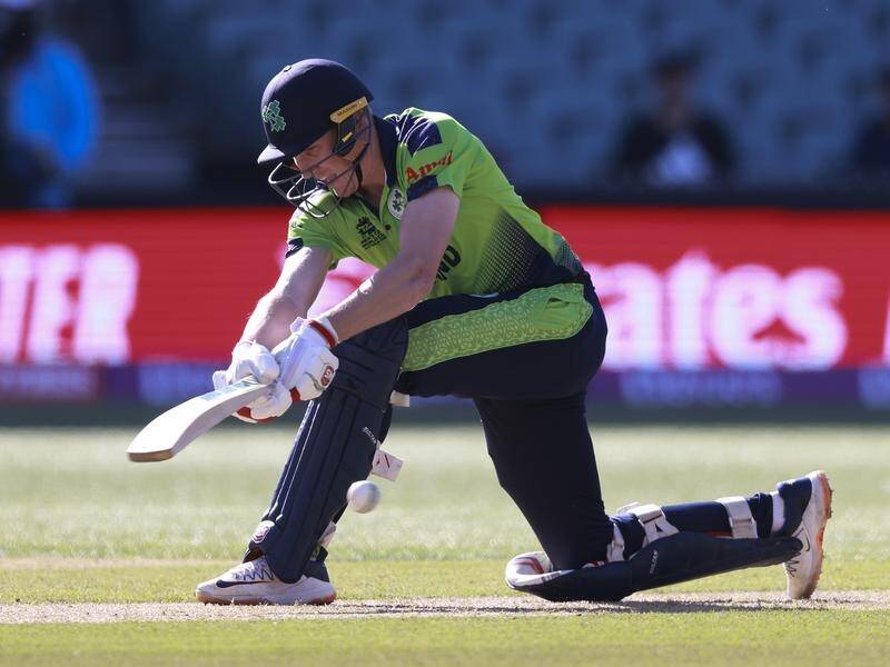 Harry Tector led Ireland to a T20 series victory over Zimbabwe in Harare with his unbeaten 54. (AP PHOTO)