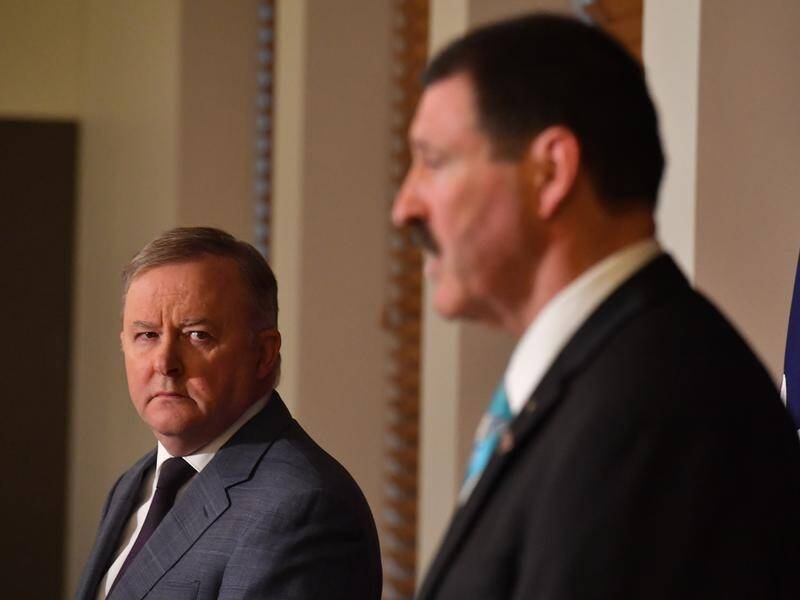 Federal Labor leader Anthony Albanese with Mike Kelly, whose retirement will trigger a by-election.