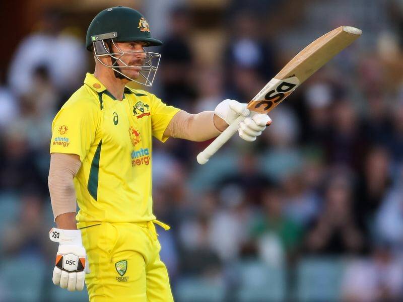 David Warner could return to Australia's leadership group after CA made code of conduct changes. (Matt Turner/AAP PHOTOS)