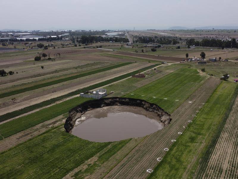 Two dogs have been rescued from a ledge on a water-filled sinkhole on a farming field in Mexico.