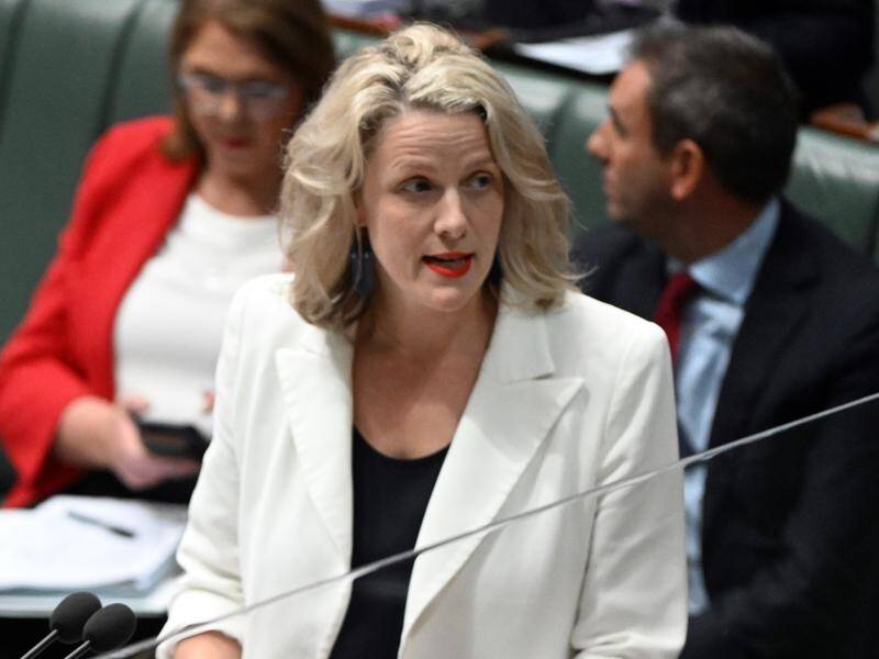 Home Affairs Minister Clare O'Neil says it's time to bring foreign interference "into the light". (Mick Tsikas/AAP PHOTOS)