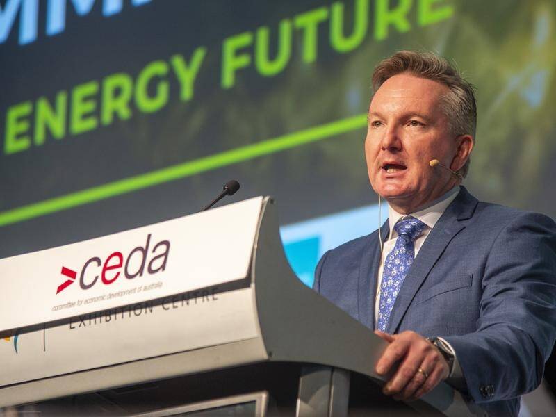 Chris Bowen said the hub will provide jobs, support new manufacturing and spur regional investment. (Aaron Bunch/AAP PHOTOS)