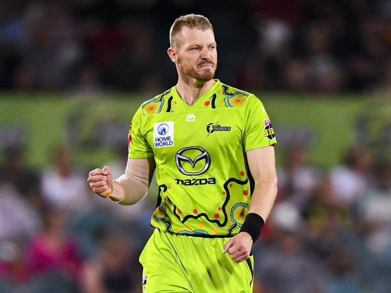 Nathan McAndrew is making a strong impression in his first full BBL season with Sydney Thunder.