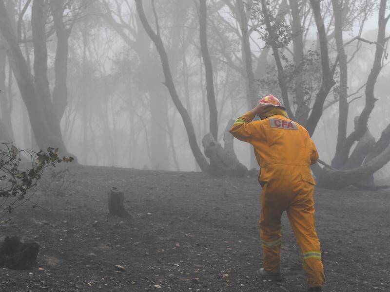 Rain has started to fall, but not enough to douse Victoria's fires.