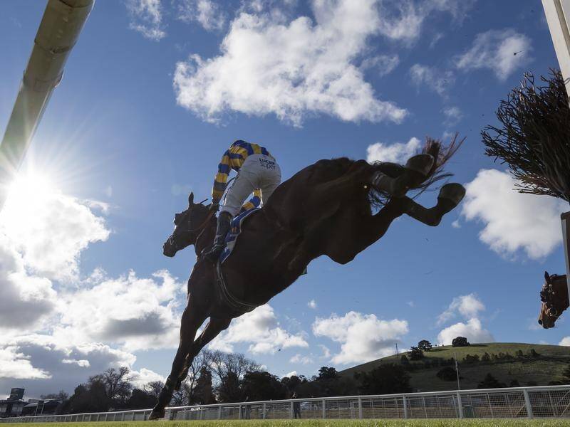 South Australia's parliament has passed legislation to ban jumps racing in the state.
