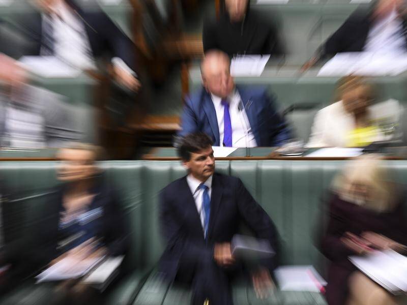 The federal Coalition is trying to fend of a Senate inquiry into Energy Minister Angus Taylor.