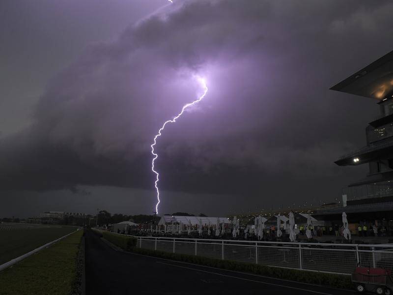 Authorities have warned of a heightened risk of thunderstorm asthma this summer. (Simon Bullard/AAP PHOTOS)