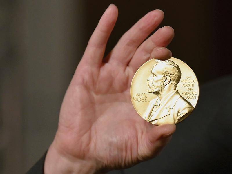 The Nobel Prize for chemistry has gone to two scientists who found a new way to build molecules.