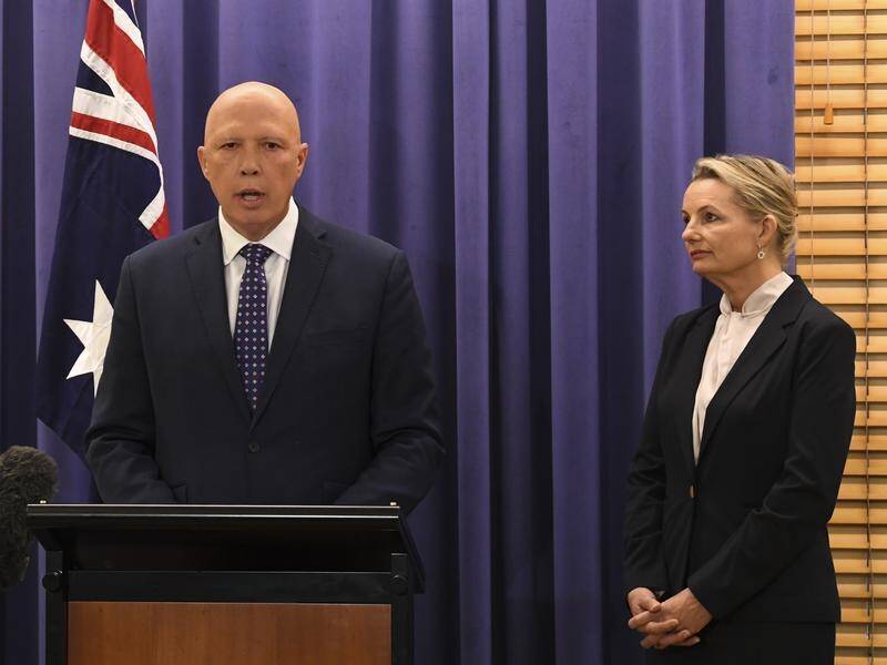 The Liberal leadership team of Peter Dutton and Sussan Ley have pledged to learn election lessons.